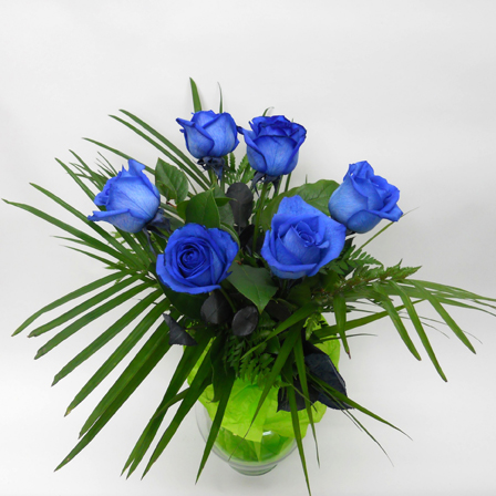 6 Roses Bleues